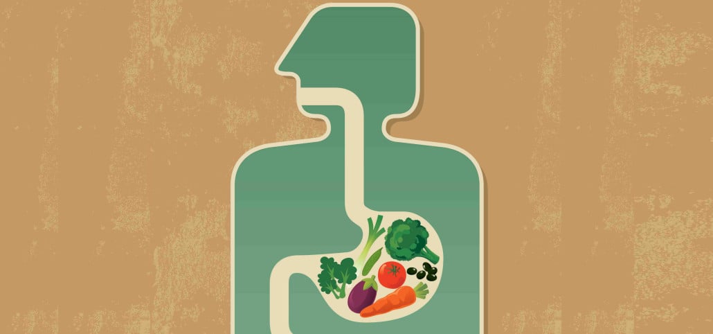 Healthy-Digestion3-e1422373302612-1030x482.jpg