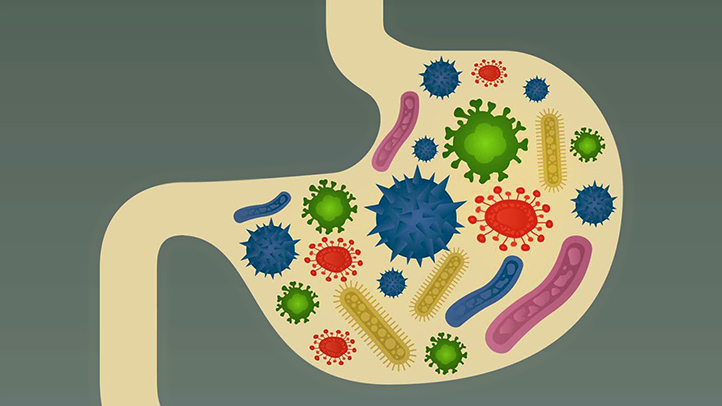 What is Leaky Gut Syndrome?